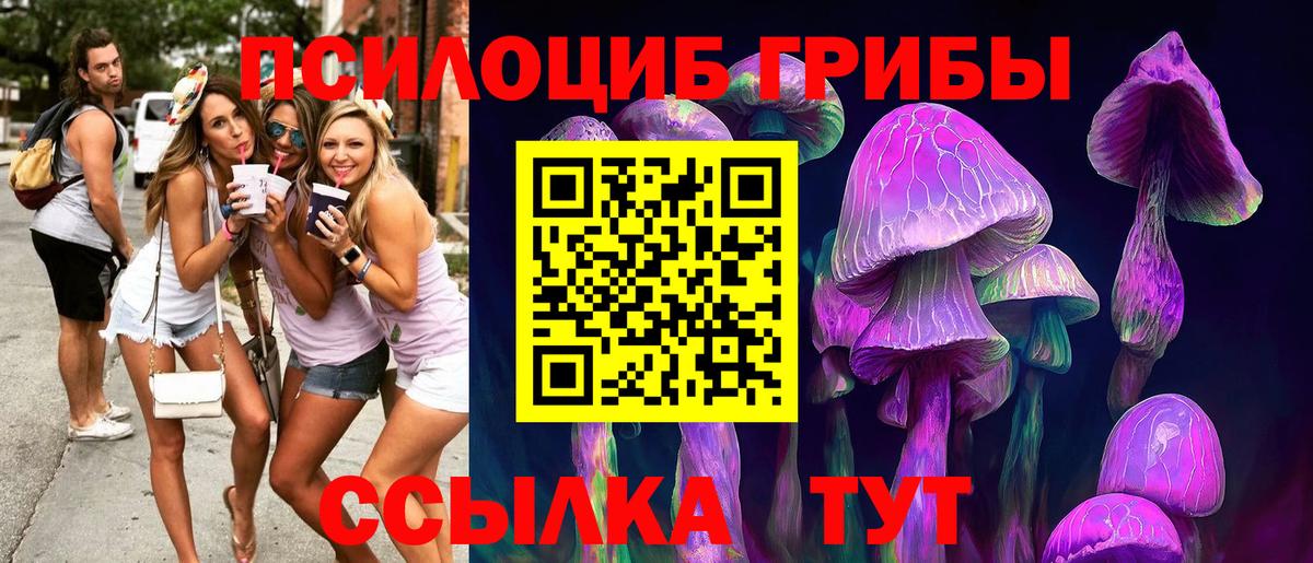 Алейск  Галлюциногенные грибы мицелий  Вход с VPN 